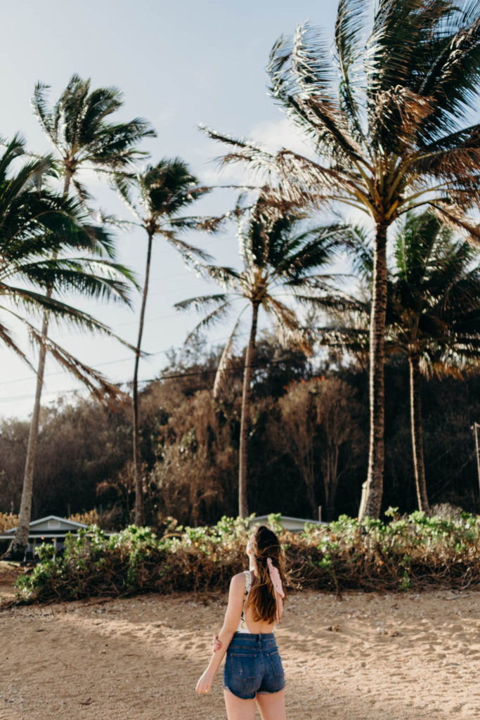 Kauai travel guide