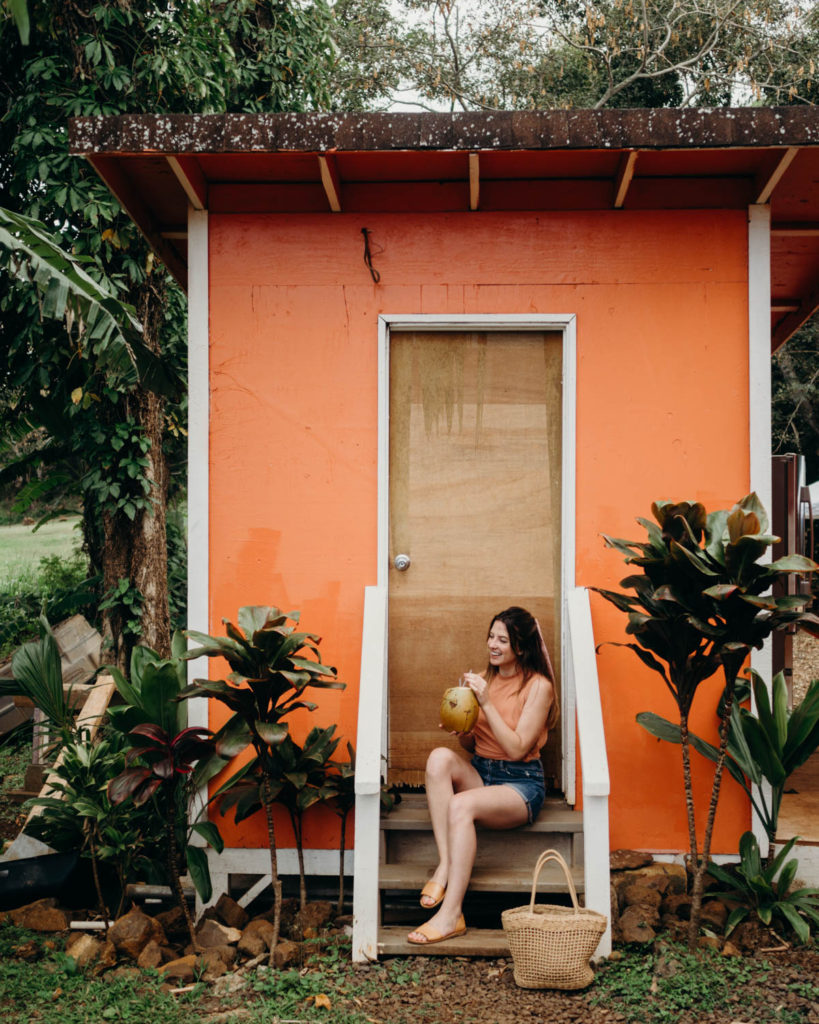 Best Spots to Eat in Kauai Hawaii