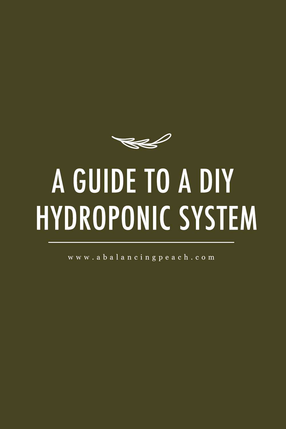 A Guide To a DIY Hydroponic System